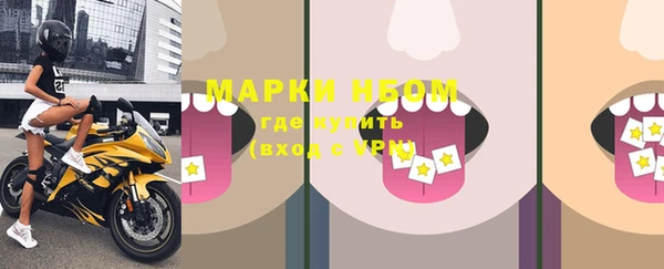 шишки Беломорск