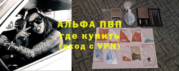 шишки Беломорск