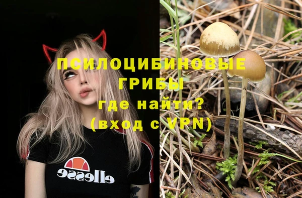 шишки Беломорск