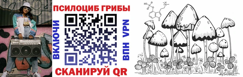 Псилоцибиновые грибы мухоморы kraken как зайти Вуктыл